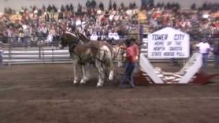 preview picture of video '2008 Winter Show in Valley City, ND'