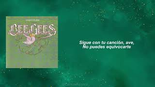 Bee Gees – Songbird (Subtitulado al español)