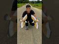 Remote Control Bird Rc Car Lol