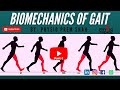 Easy Human Gait Analysis Biomechanics For Physiotherapy Students ||Human locomotion
