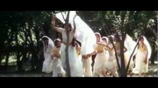 Viknesh Vijayakumar (விக்னேஷ்)