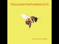 Ted Leo & The Pharmacists - Bottled In Cork (Demo)