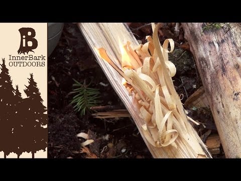 How to Make Feather Sticks:  Dry Tinder in Wet Weather
