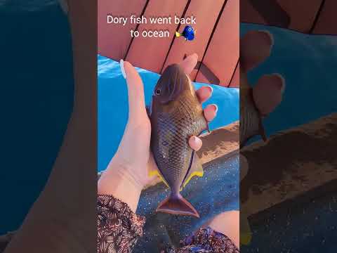 Easter Island fishing 🎣