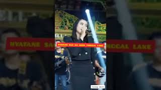 Download lagu 28 Juni 2022 lagu layang sworo-yeni inka adella - adella Dangdut - () mp3 Download lagu 28 Juni 2022 lagu layang sworo-yeni inka adella - adella Dangdut - () mp3