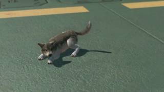 カイナギがお送りする[METAL  GEAR  SOLID V :PP]DDイベント