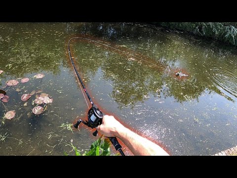 Lure Fishing for Pike 🇬🇧 Catching on the Canal