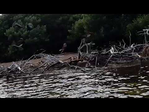 Don't Be A Body.  Don't Be A Body.