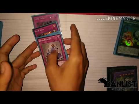 Deck Profile - Burning Abyss Paleozoic (1st Place Weekly Local Tournament)