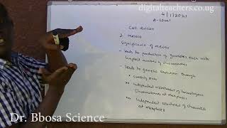 Cell divisions (meiosis and mitosis)