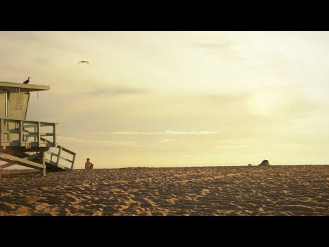 David Haerle - Days In The Sun - Official Music Video