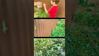 物件みまわり隊／草刈師たち #京都市山科区#売土地#京都市不動産#インサイトハウス #物件紹介京都