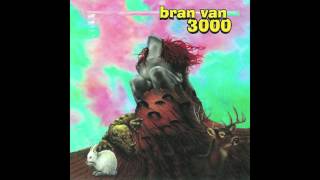 Bran Van 3000 - Problems