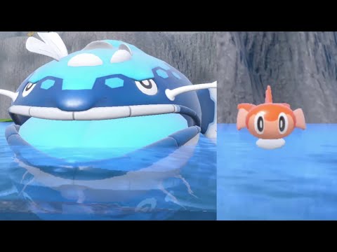 Pokémon Scarlet - Boss - Dondozo, The False Dragon Fish & Tatsugiri, the False Dragon Titan