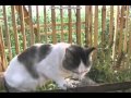 Кто проживает на дне океана (не знаю) 