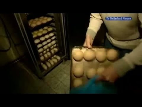 GLD Nieuws 19 maart 2009 - Nieuws