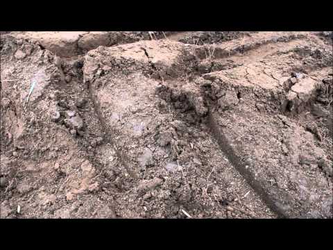 Direct seeding a new shelterbelt at Sungold Fieldays site, Allansford