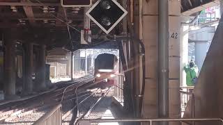 団体ひばり51号上野駅14番線入線(2021.4.11)