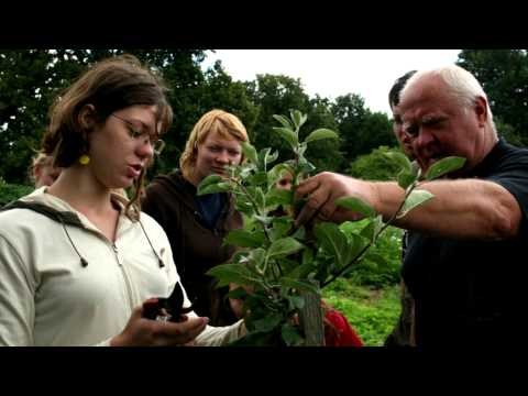 festival Dort pro Brontosaura