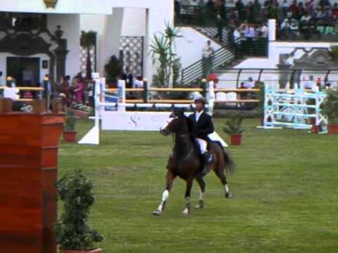 Julien Gonin - Sandro