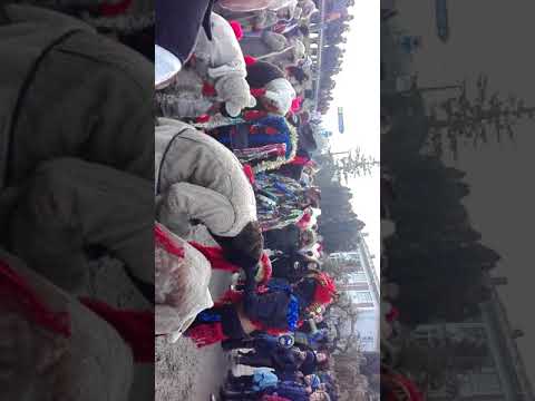 Ursii din Perieni Probota Iasi