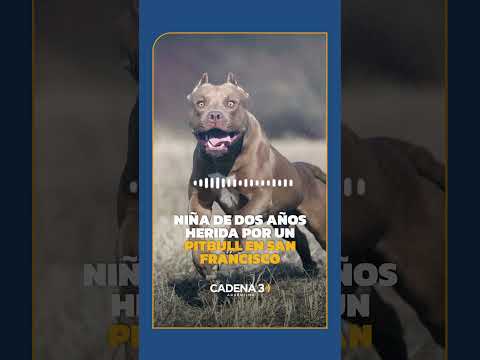 NIÑA DE DOS AÑOS HERIDA POR UN PITBULL EN SAN FRANCISCO | Cadena 3 Argentina