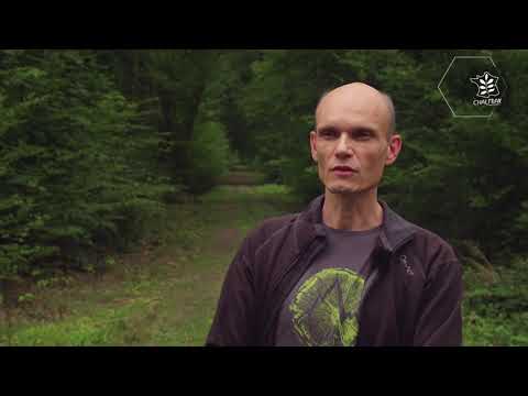 Epidémiologie de la chalarose du Frêne - Reportage WebTV CHALFRAX 1/4