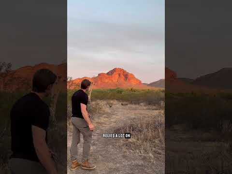 To Sling is to Throw