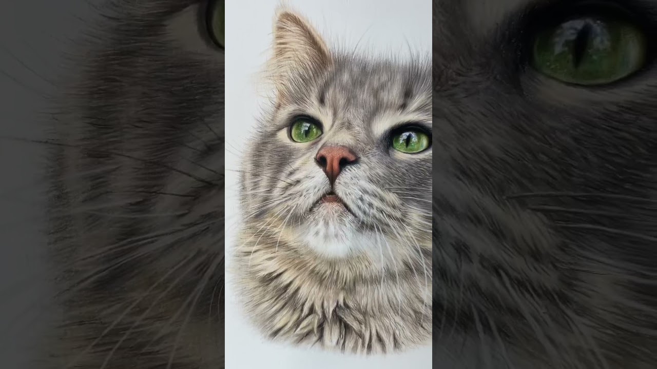 The most realistic cat I’ve ever drawn!! ✍🏼 #arttutorial #artistlife #artist #catdrawing #artshorts