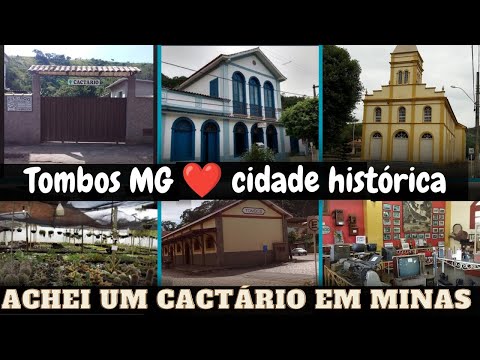 conheci um cactário - fui ao museu - mostrei a cidade - linda demais - Tombos Minas Gerais