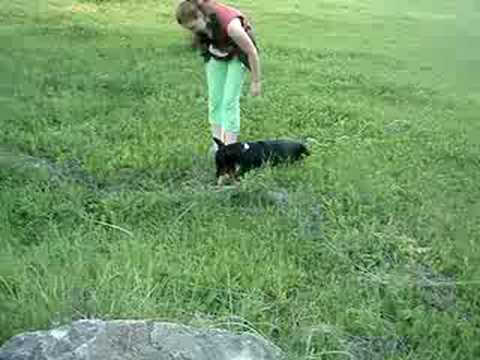 Irinland Lavina Larga tracking training