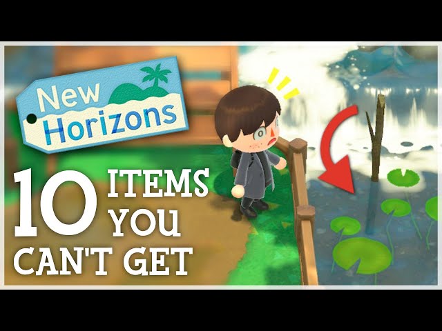 Animal Crossing: Will the following fan-favorite items ever make their