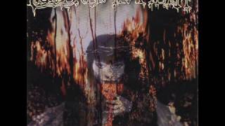 Mirzadeh - Malice Through The Looking Glass