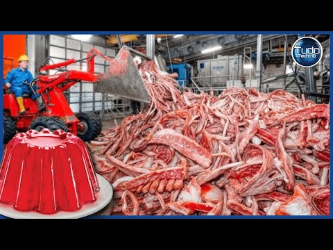 How Gelatin is Made – Incredible Industrial Process for Manufacturing Royal Envelope Gelatin
