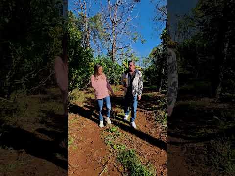 Miel de la Flora Misionera  - Apicultor René Recziegel