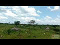 2 Square Miles Of Land In Luwero For Sale Price Is 4 7m Per Acre