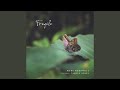 Fragile (feat. Tamsyn Berry)