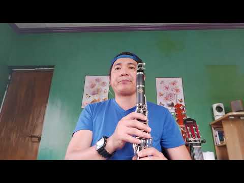 Perfect Ed Sheeran (Clarinet Cover) Aga Felizardo