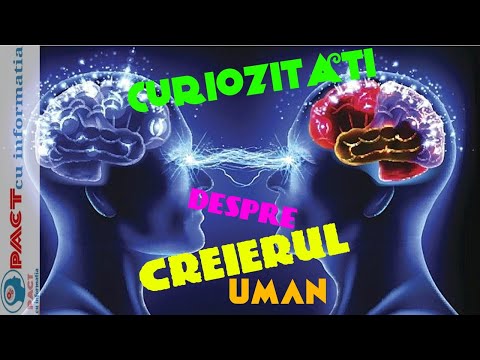 50 De Curiozitati Fascinante Despre Creierul Uman