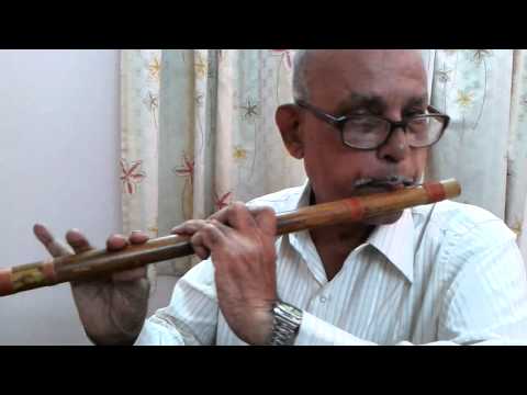 Patil flutist - Aanewala Pal Janewala Hai  Instrumental Cover on Flute by Balakrishna Patil
