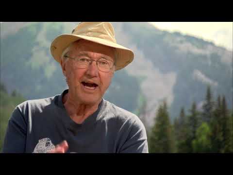 The Study Of Groundhogs: A Real Life Look At Marmots