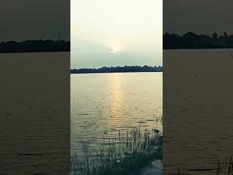 𝕓𝕚𝕙𝕒𝕣 𝕓𝕖𝕒𝕔𝕙 🏖