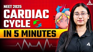 CARDIAC CYCLE CLASS 11| BODY FLUIDS AND CIRCULATION | ATRIAL AND VENTRICULAR SYSTOLE AND DIASTOLE