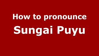 How to pronounce Sungai Puyu
