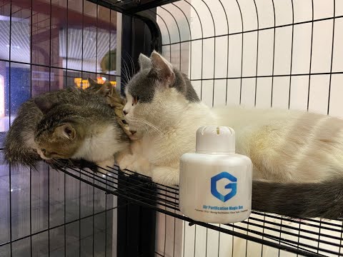 air purification magic box