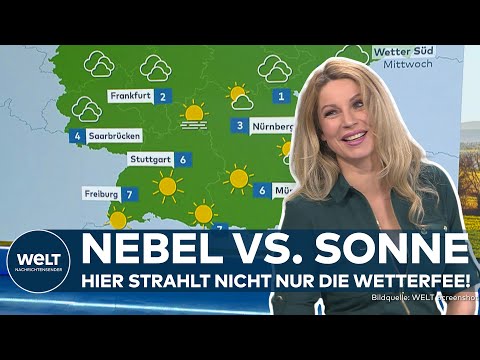 WETTER: Nebel und Regen in Deutschland | Vom südlichen Oberrhein bis Alpenvorland ist es sonnig