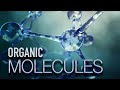 What You Need to Know About Organic Molecules