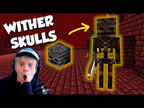 ENDELIG FIK VI DET! - Minecraft: Ep 44