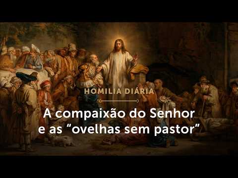 Homilia Diária | A compaixão do Senhor e as “ovelhas sem pastor” (Sábado 4ª S. T. Comum - 07/02/26)