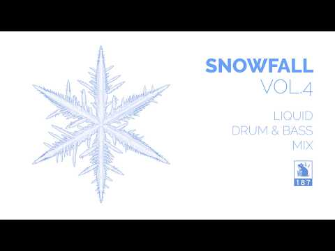 Snowfall Vol.4 | Liquid Drum & Bass Mix
